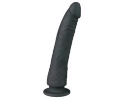 Easytoys - čierne silikónové dildo s prísavkou (21cm)